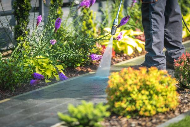 Best Sidewalk and Walkway Cleaning  in Twentynine Palms, CA