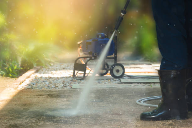 Best Animal Enclosure Cleaning  in Twentynine Palms, CA